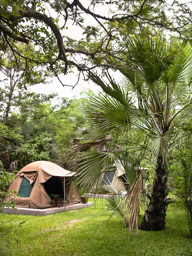 Tambezi  Waterfront Lodge  Campsite