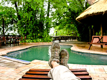 am Pool der Zambesi Waterfront Lodge