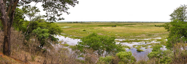Linyanti River  im Mamili NP